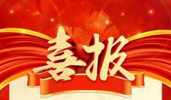 喜报丨沃邦环保荣获“湖南新能源产业创新发展