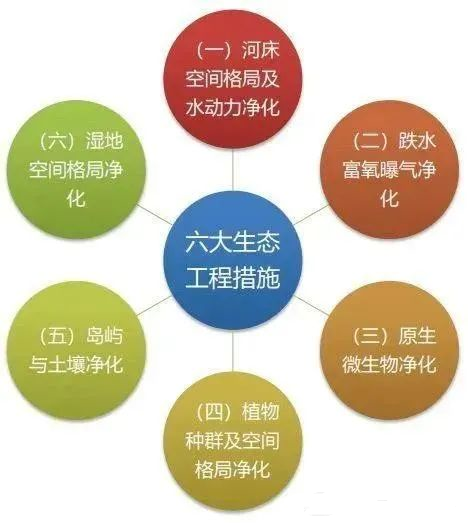 微生物对水环境环境的生物修复作用