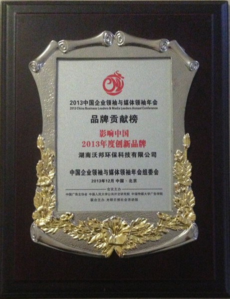 影响中国2013年度创新品牌